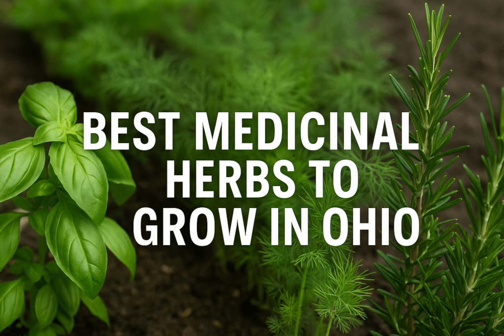 best medicinal herbs to grow in ohio